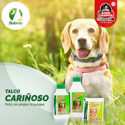 Talco Medicado Cariñoso