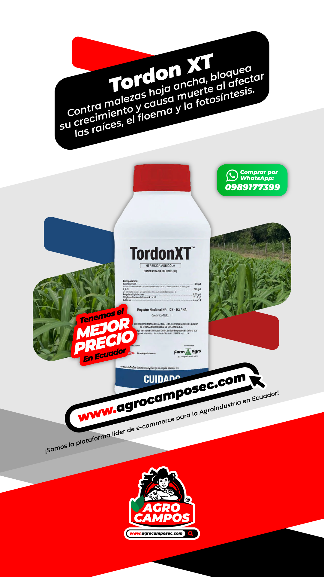 Tordon XT