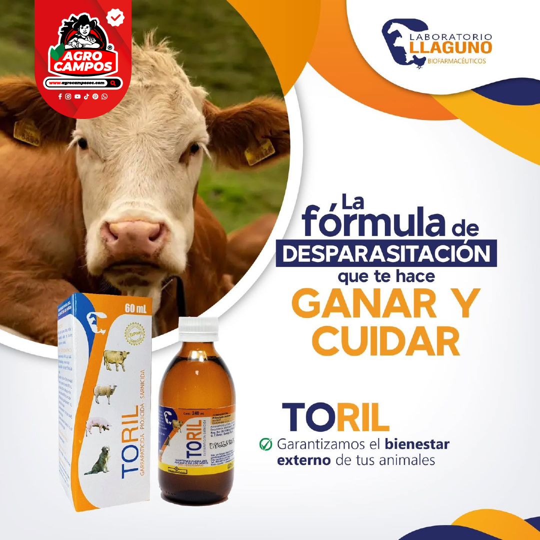 Toril