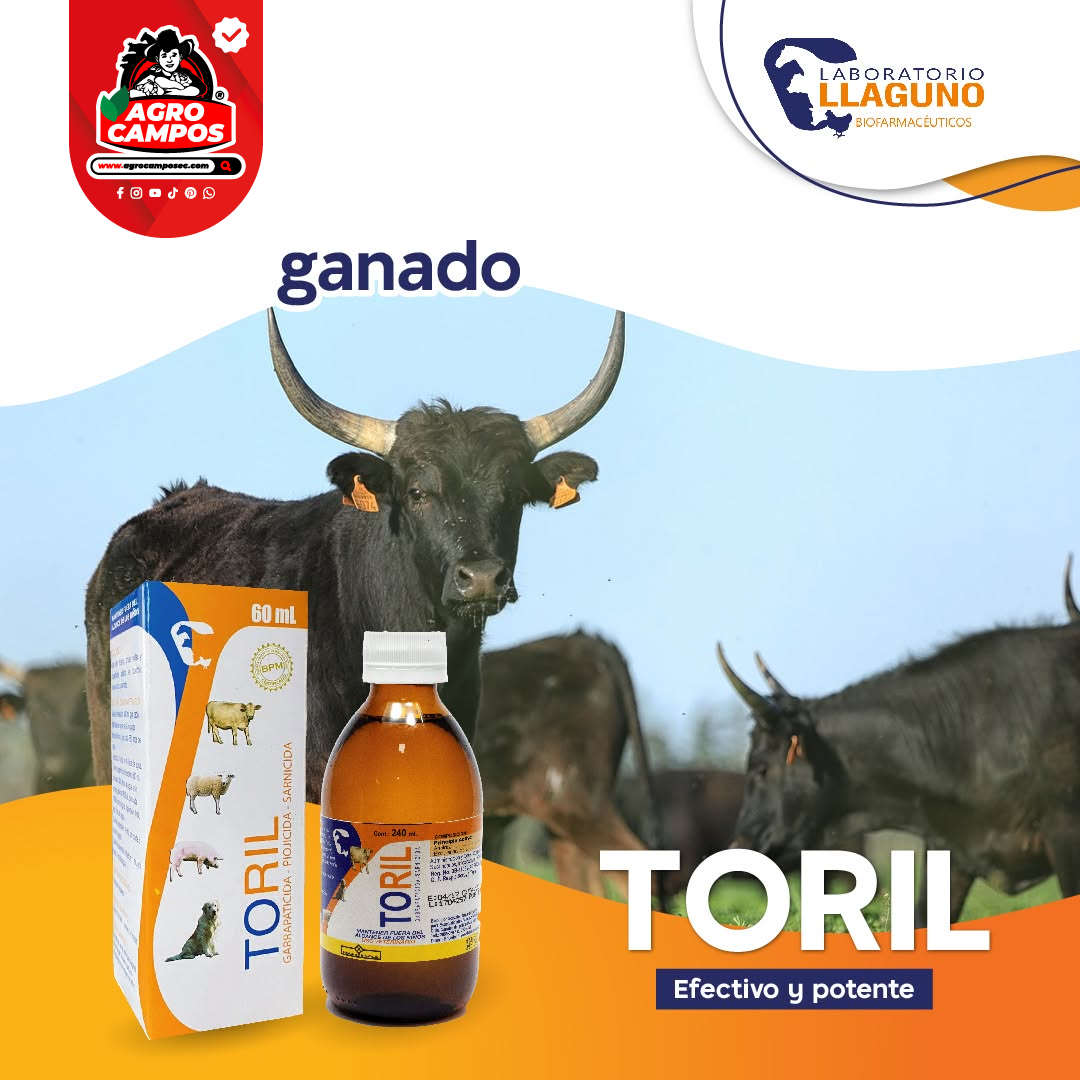 Toril