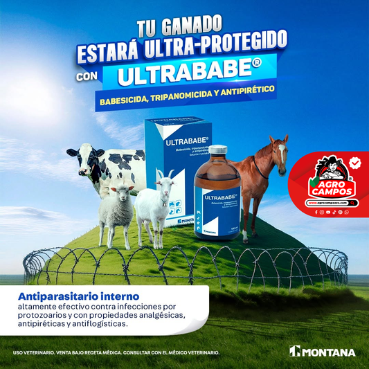 Ultrababe