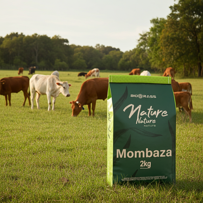 Semilla Pasto Mombaza Biograss