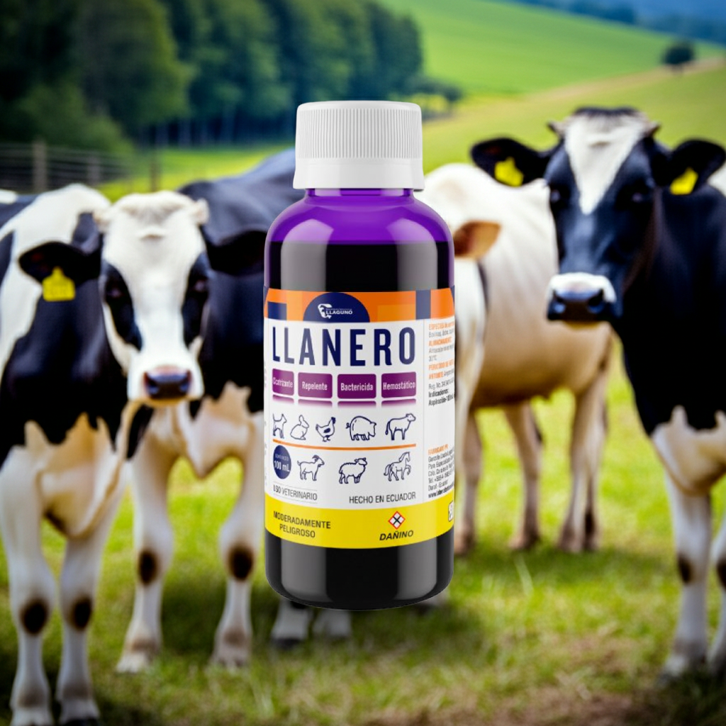 Llanero