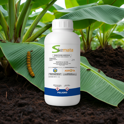 Skemata Insecticida