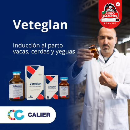 Veteglan