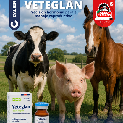 Veteglan
