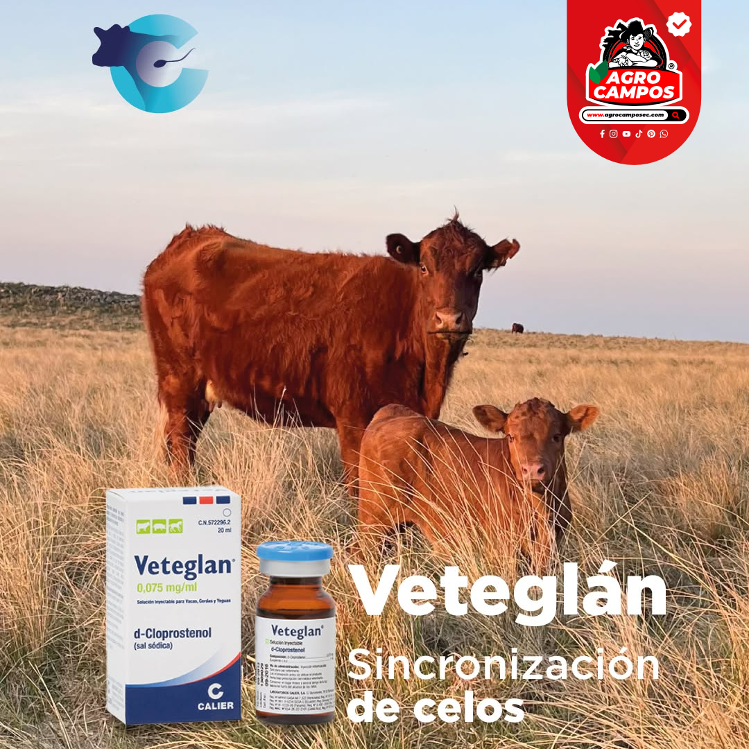 Veteglan