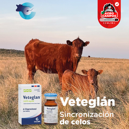 Veteglan
