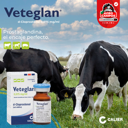 Veteglan