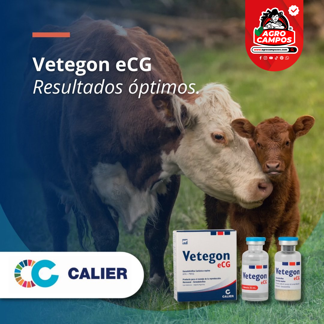 Vetegon eCG