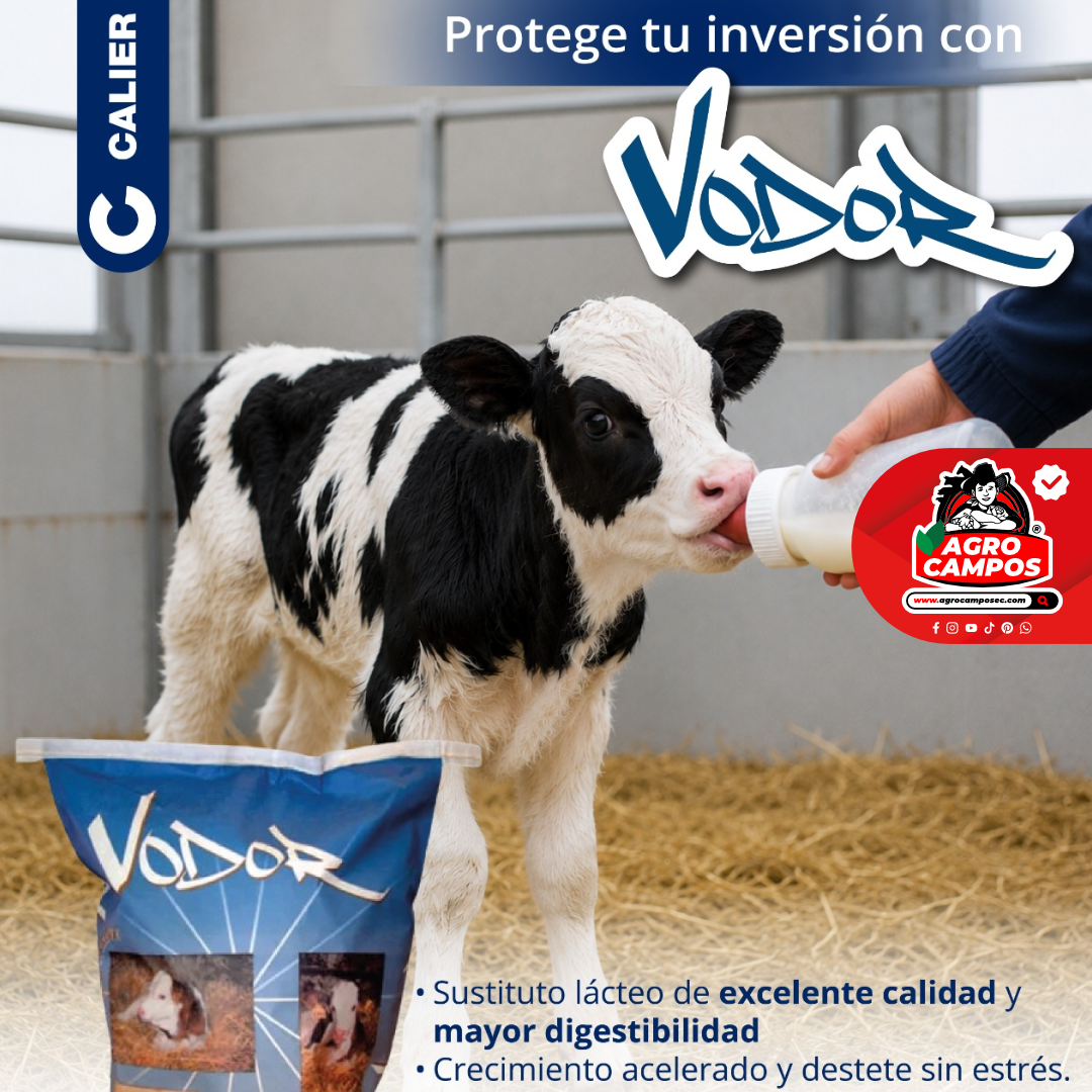 Leche Sustituta Vodor