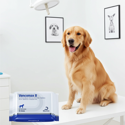 Vencomax 8 Montana Prevencion Leptospirosis Parvovirus Moquillo Perros Ecuador - Agro Campos® Online Store