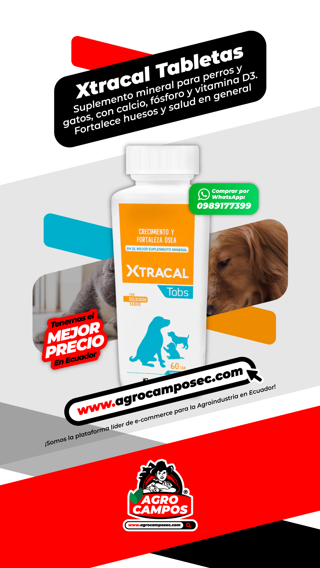 Xtracal Tabs Montana Calcio Vitamina D3 Mascotas Salud General Ecuador - Agro Campos® Online Store