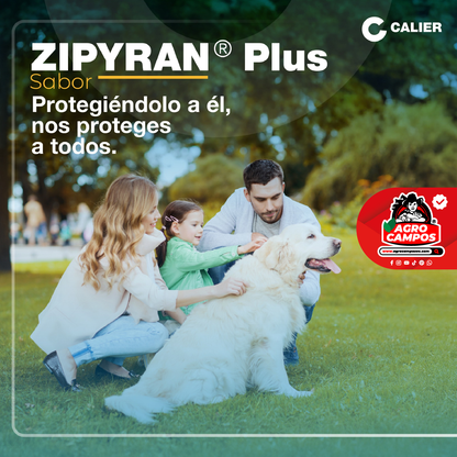 Zypiran Plus Sabor