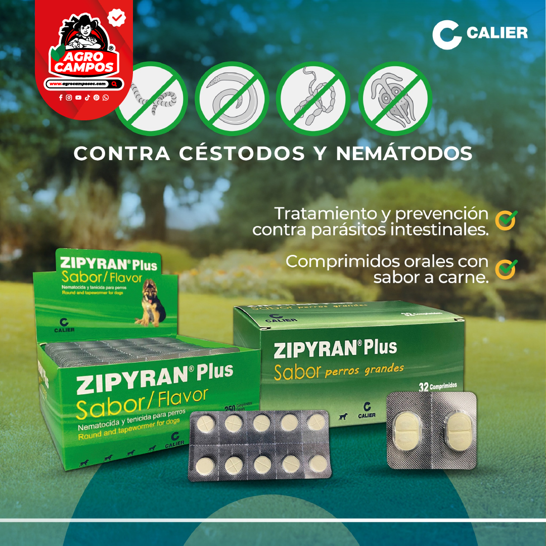 Zypiran Plus Sabor
