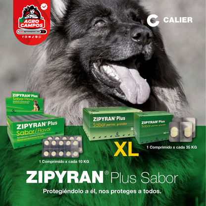 Zypiran Plus Sabor