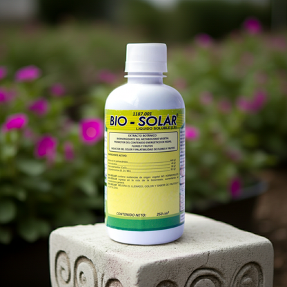 Bio Solar
