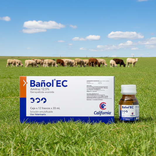 Bañol - Campo abierto