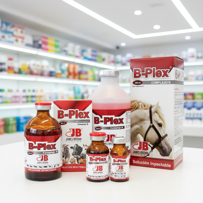 bplex-tienda-familia-completa