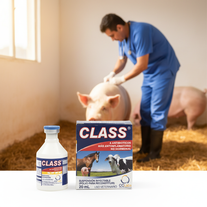 class-cerdo-neumonia