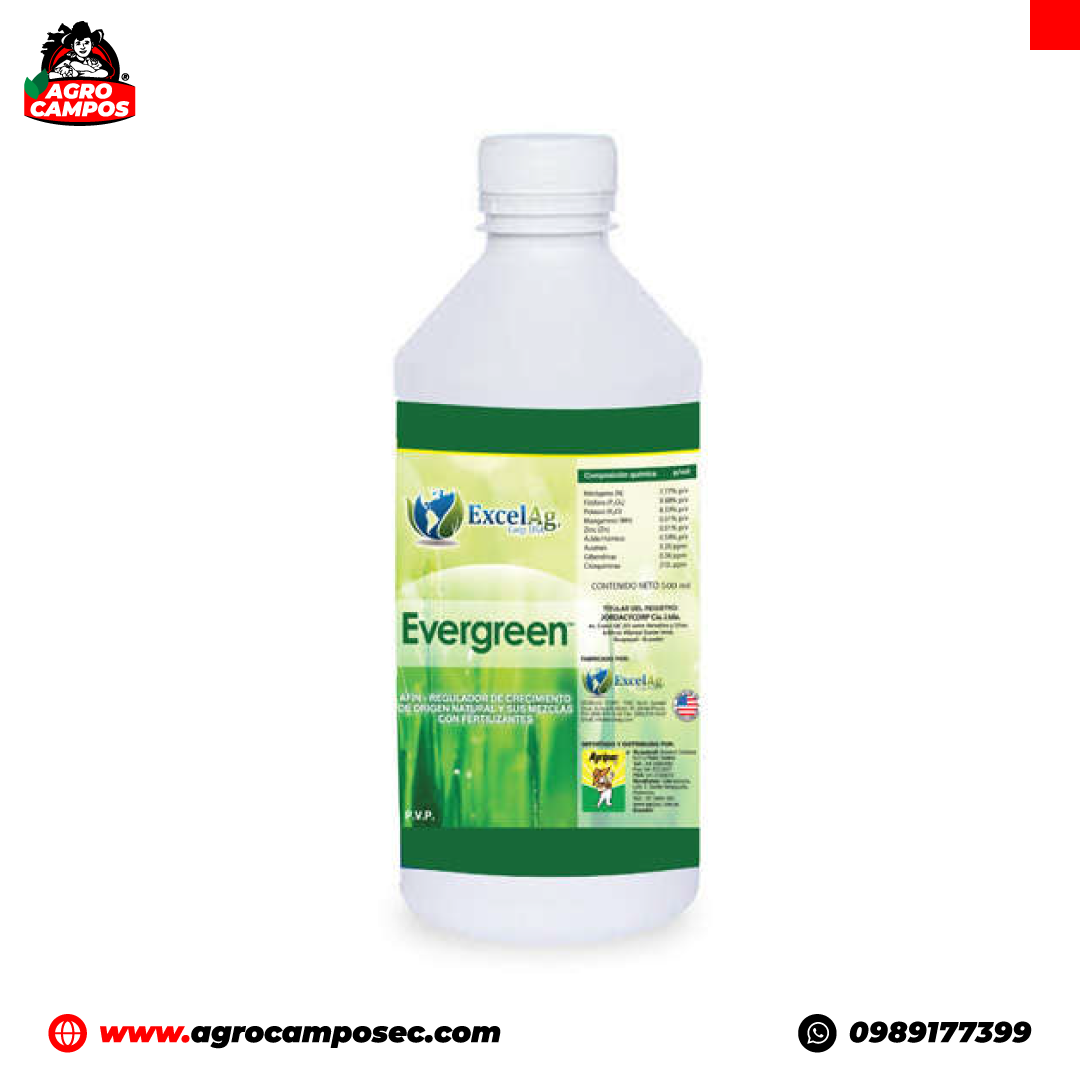 evergreen-producto-agro-campos-ecuador