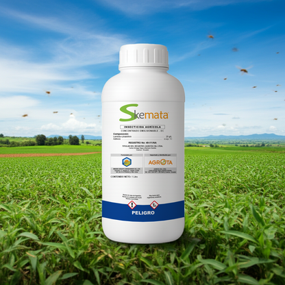 Skemata Insecticida
