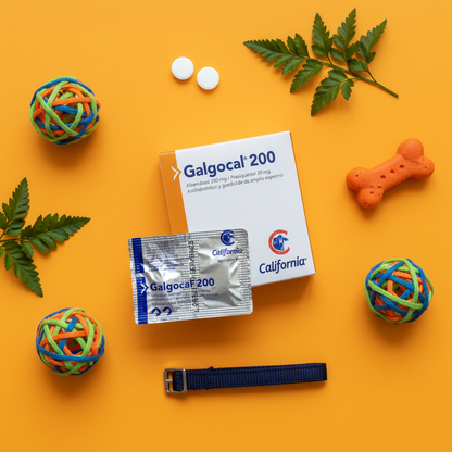galgocal200-flatlay-naranja-navy