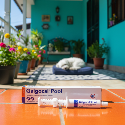 galgocalpool-porche-turquesa-naranja