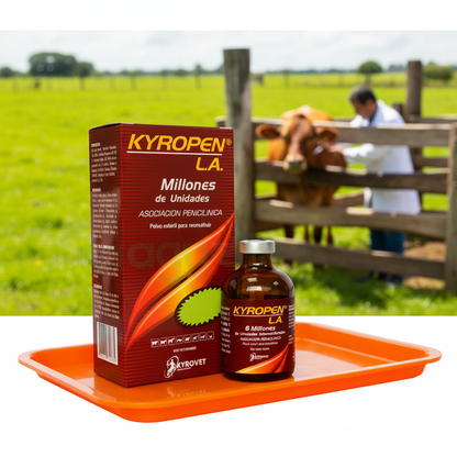 kyropen-la-vaca-mastitis-bandeja-naranja