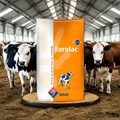 Leche Sustituta Eurolac Orange