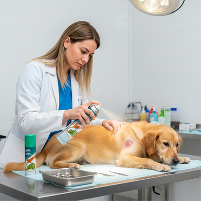 lepecef-canino-clinica