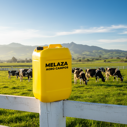 melaza-hato-lechero-paisaje