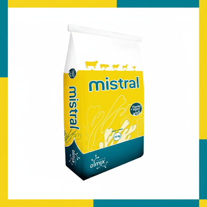 mistral-studio-amarillo-teal