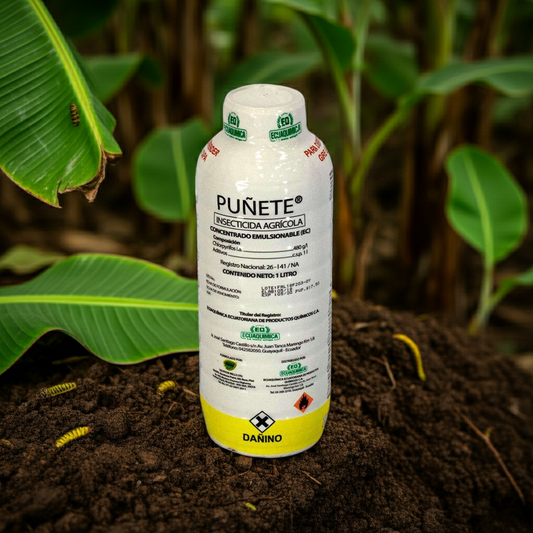 Puñete Insecticida