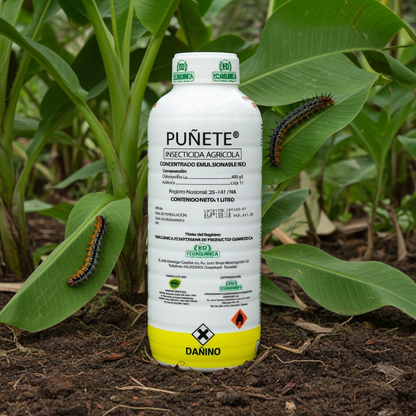 Puñete Insecticida