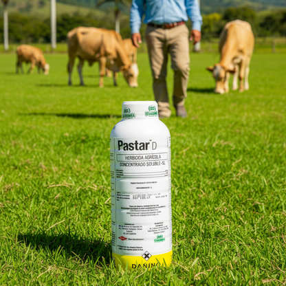pastar-brahman-potrero-limpio