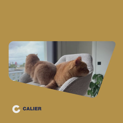Supraline Gatos Mascotas