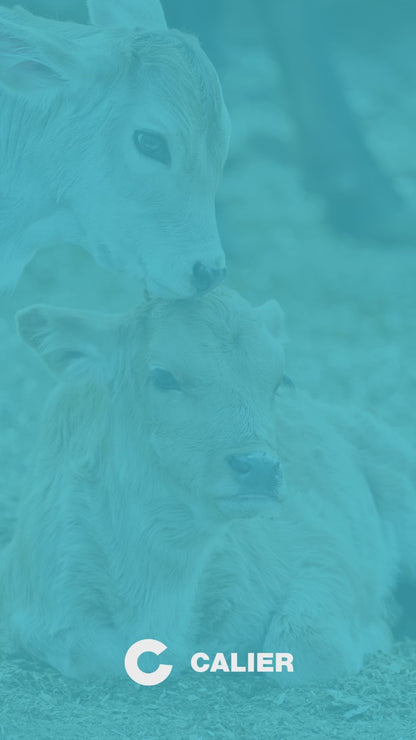 Leche Sustituta Vodor