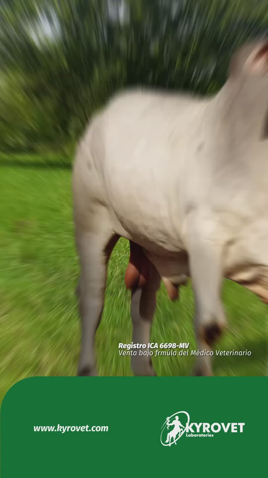 Babenil