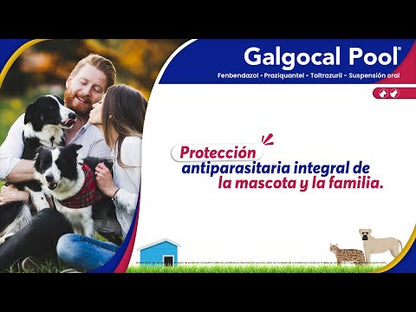 Galgocal Pool