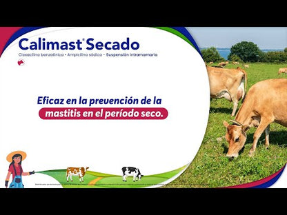Calimast Secado