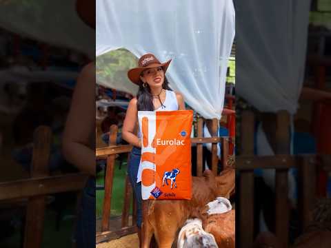 Leche Eurolac Orange