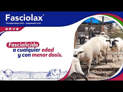 Fasciolax Suspension