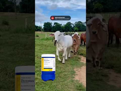 Dectomax