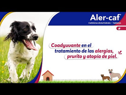 Alercaf