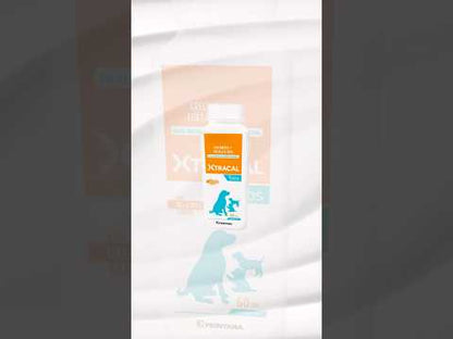 Xtracal Tabletas