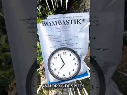 Bombastik