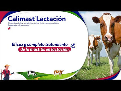 Calimast Lactación