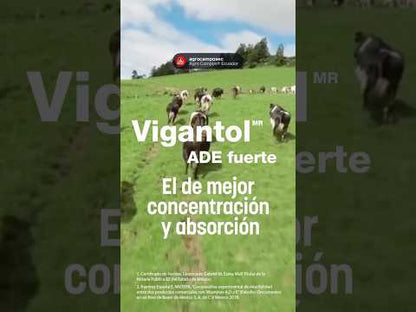 Vigantol ADE Fuerte