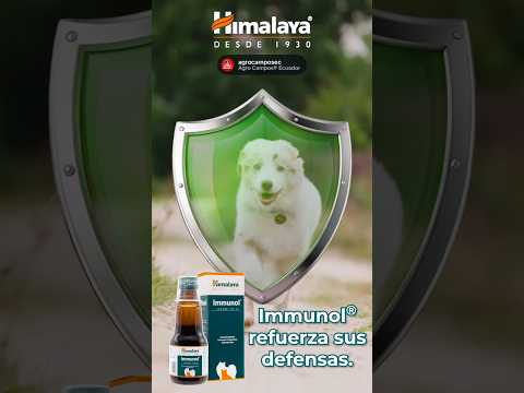 Inmunol
